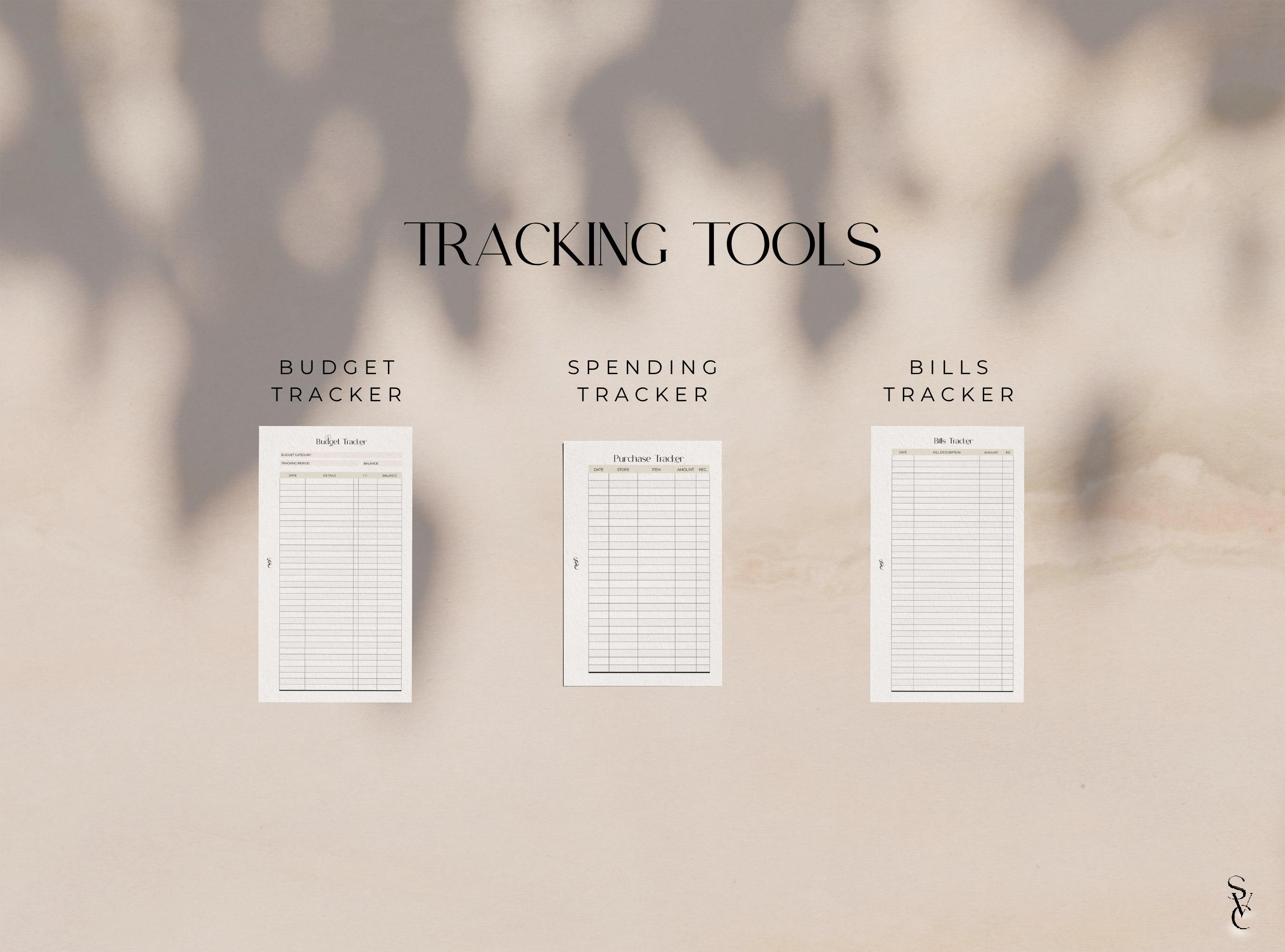 The Financial Reset System