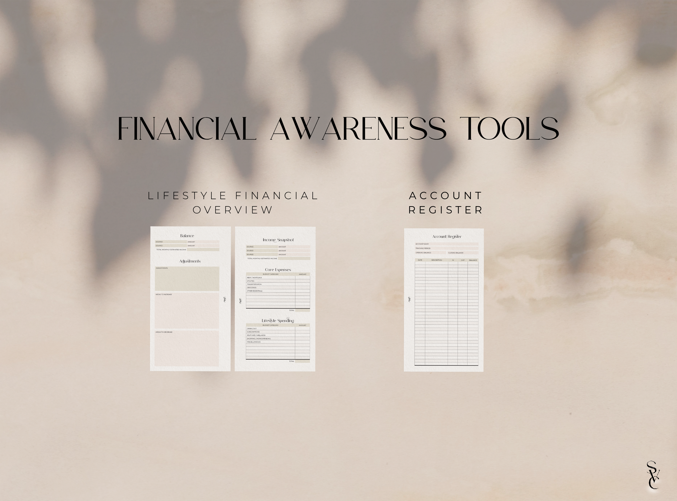 The Financial Reset System