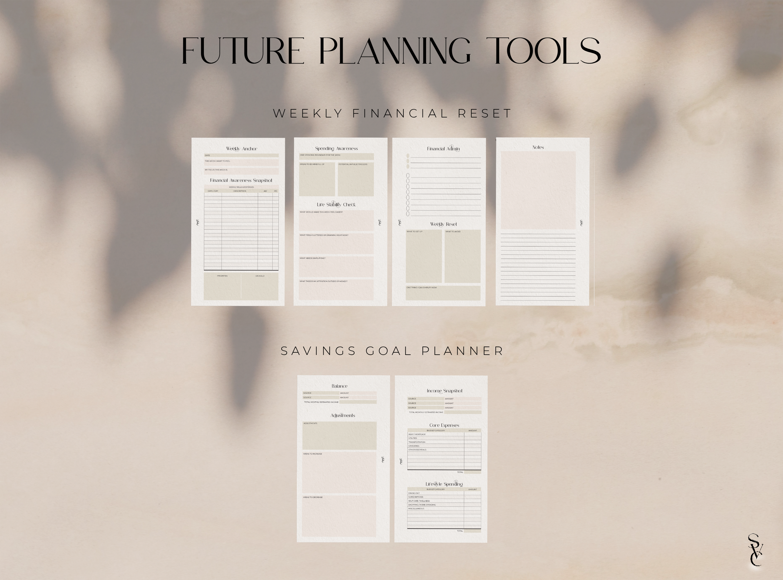 The Financial Reset System